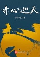 赤心巡天讲的什么
